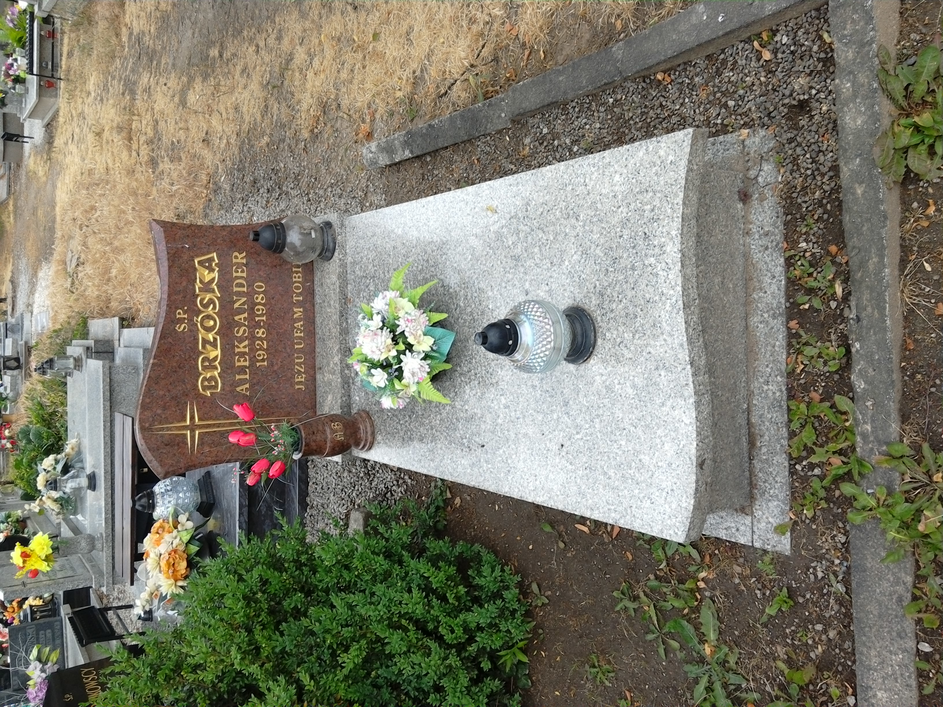 Grób Maria Brzóska - Tarka