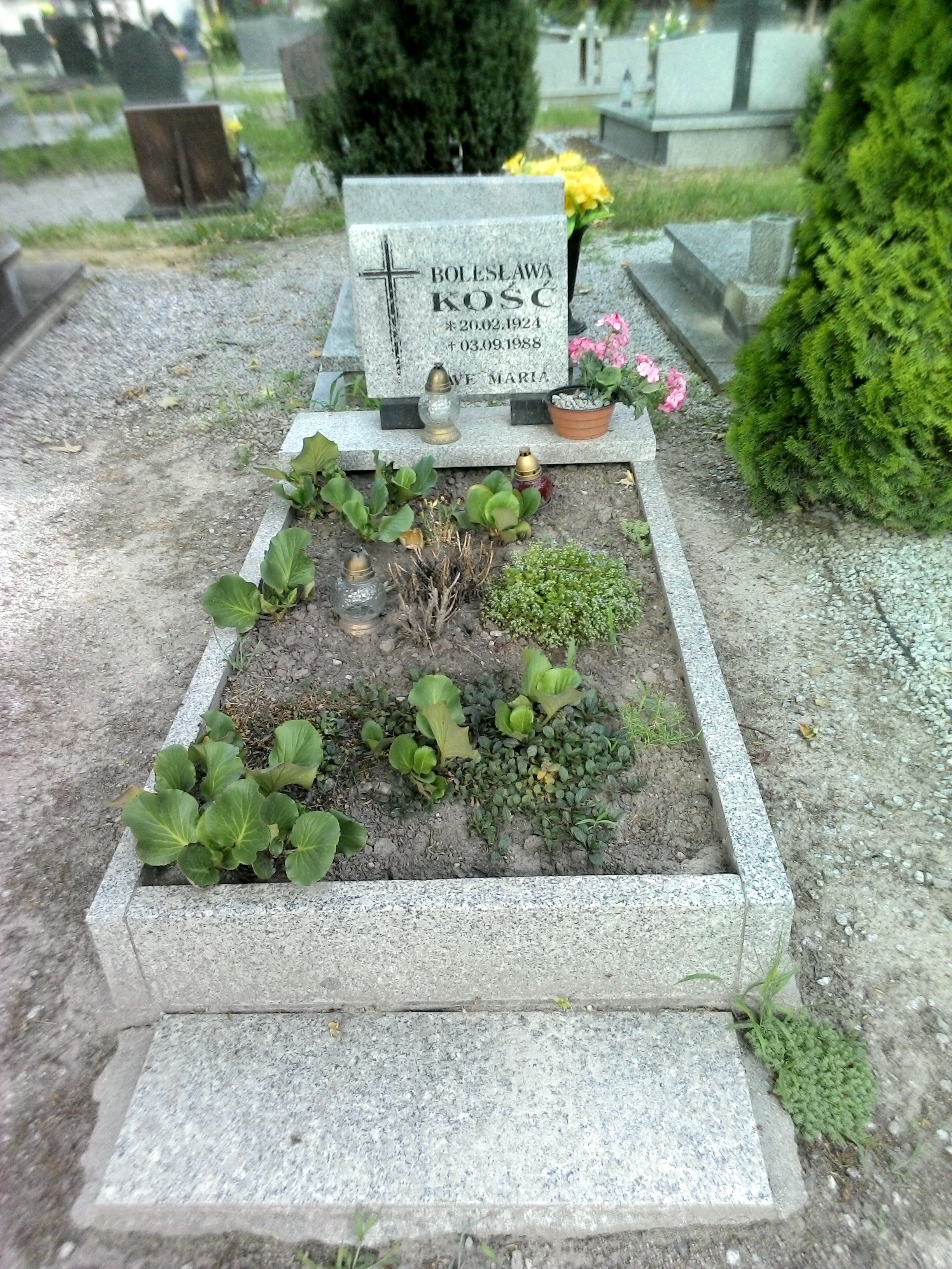 Grób Bolesława Kość 