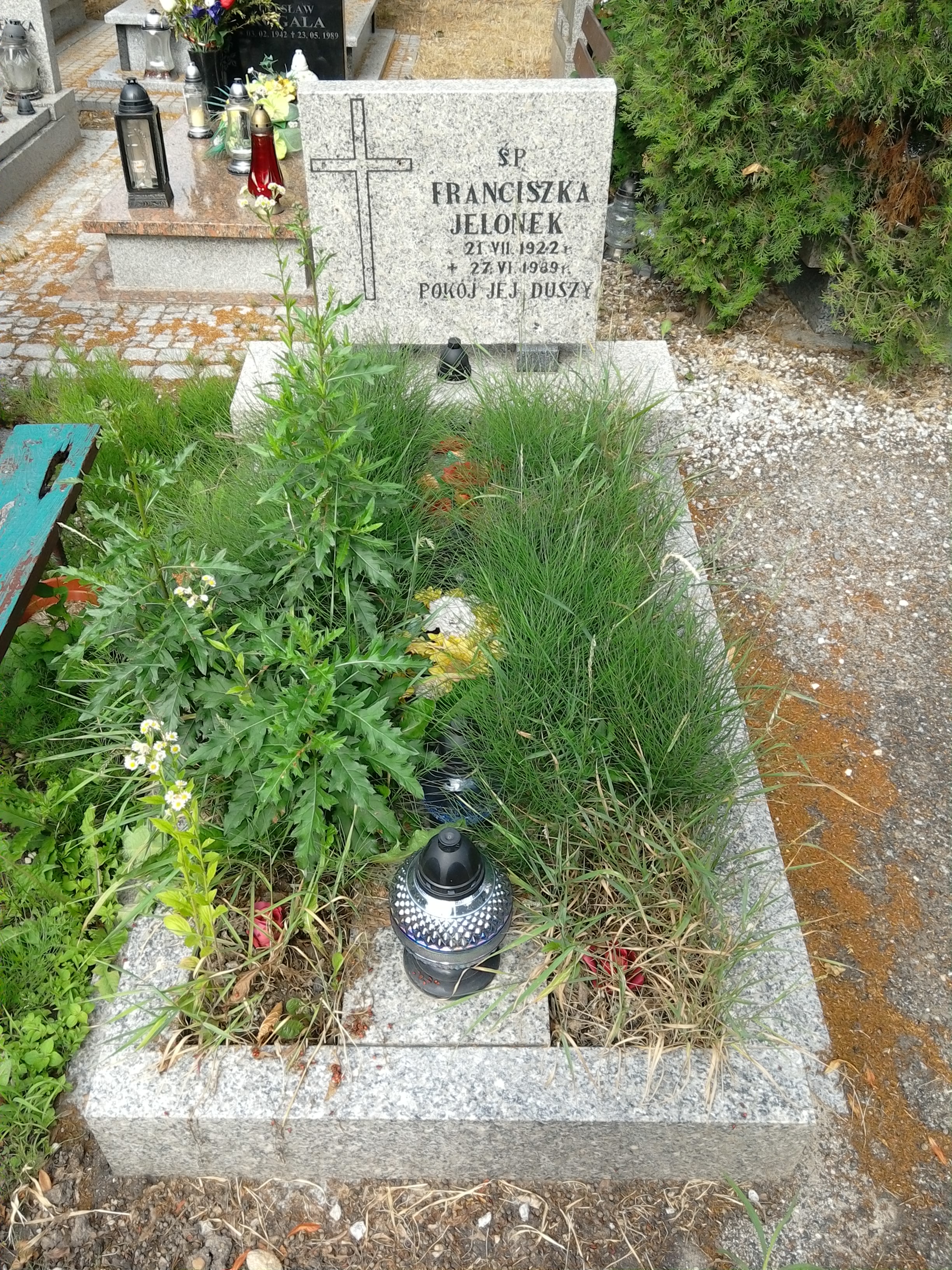 Grób Franciszka Jelonek