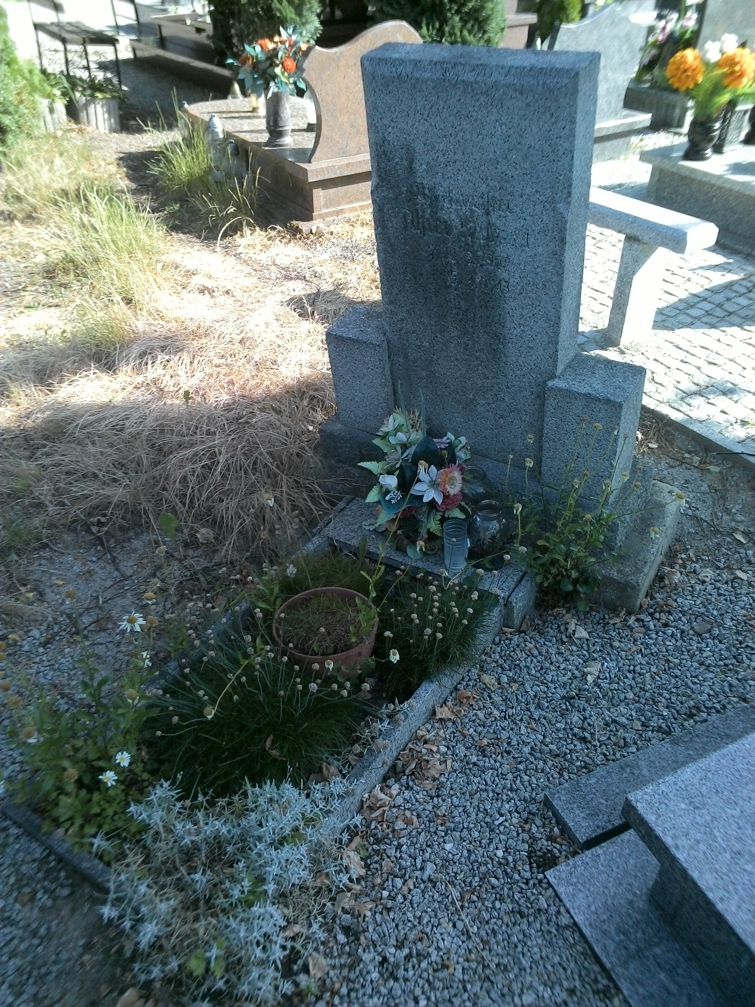 Grób Alfred Ruppelt