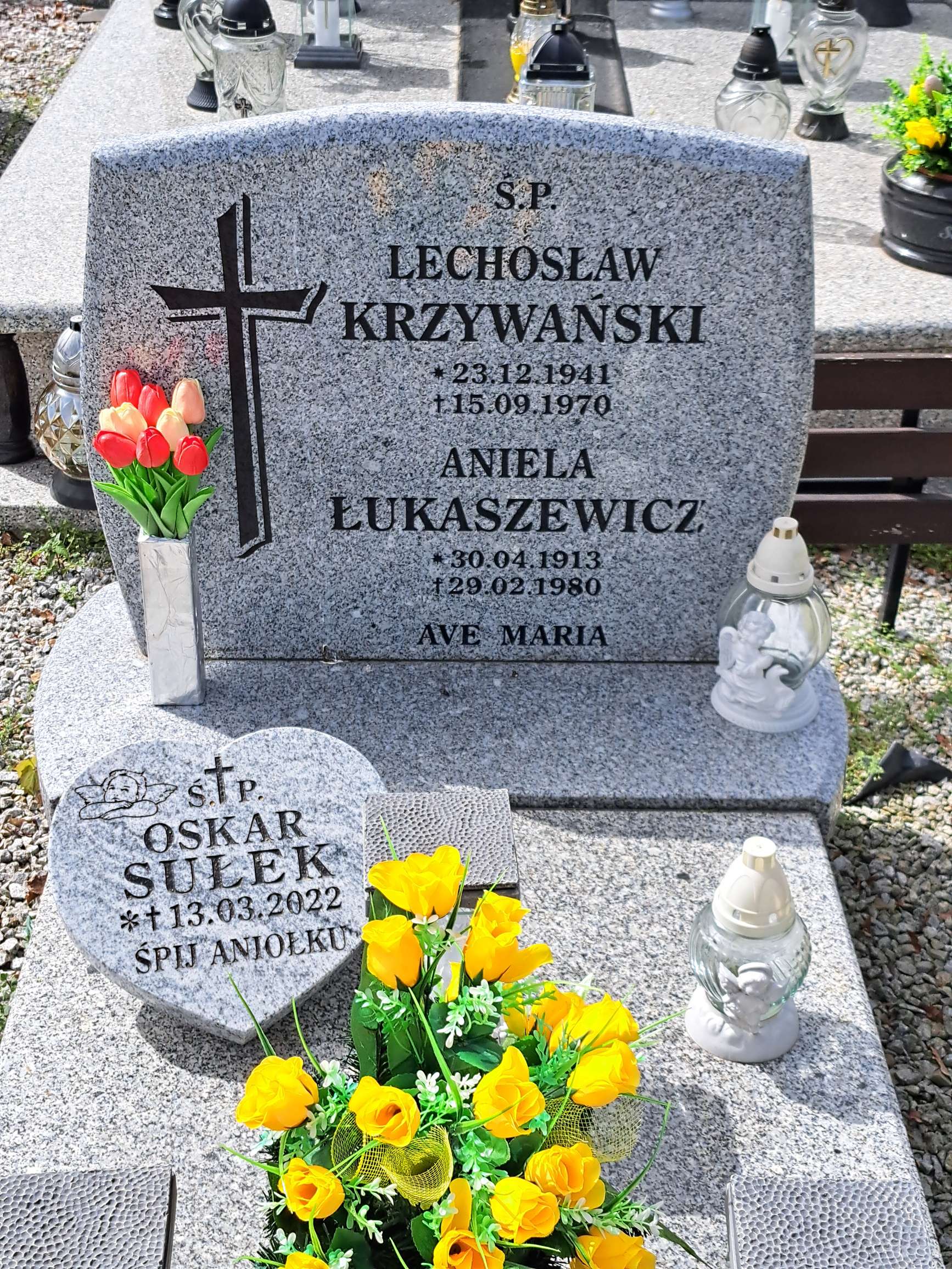 Grób Lechosław Krzywański